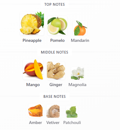 Anelo Pernoire Decant