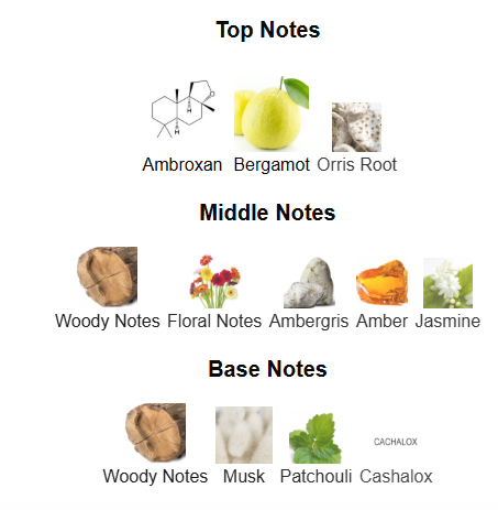 Office For Men Decant